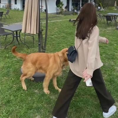 把命留下