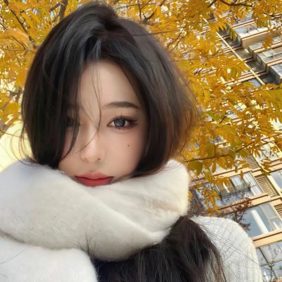 顽皮豹之子